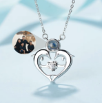 Custom Dolphin Projection Necklace 2025031301