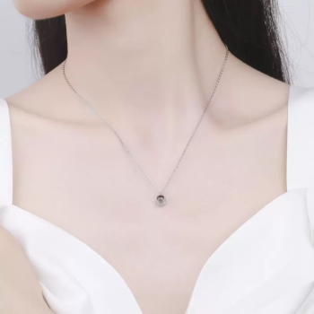 S925 Round Projection Necklace 2025031902